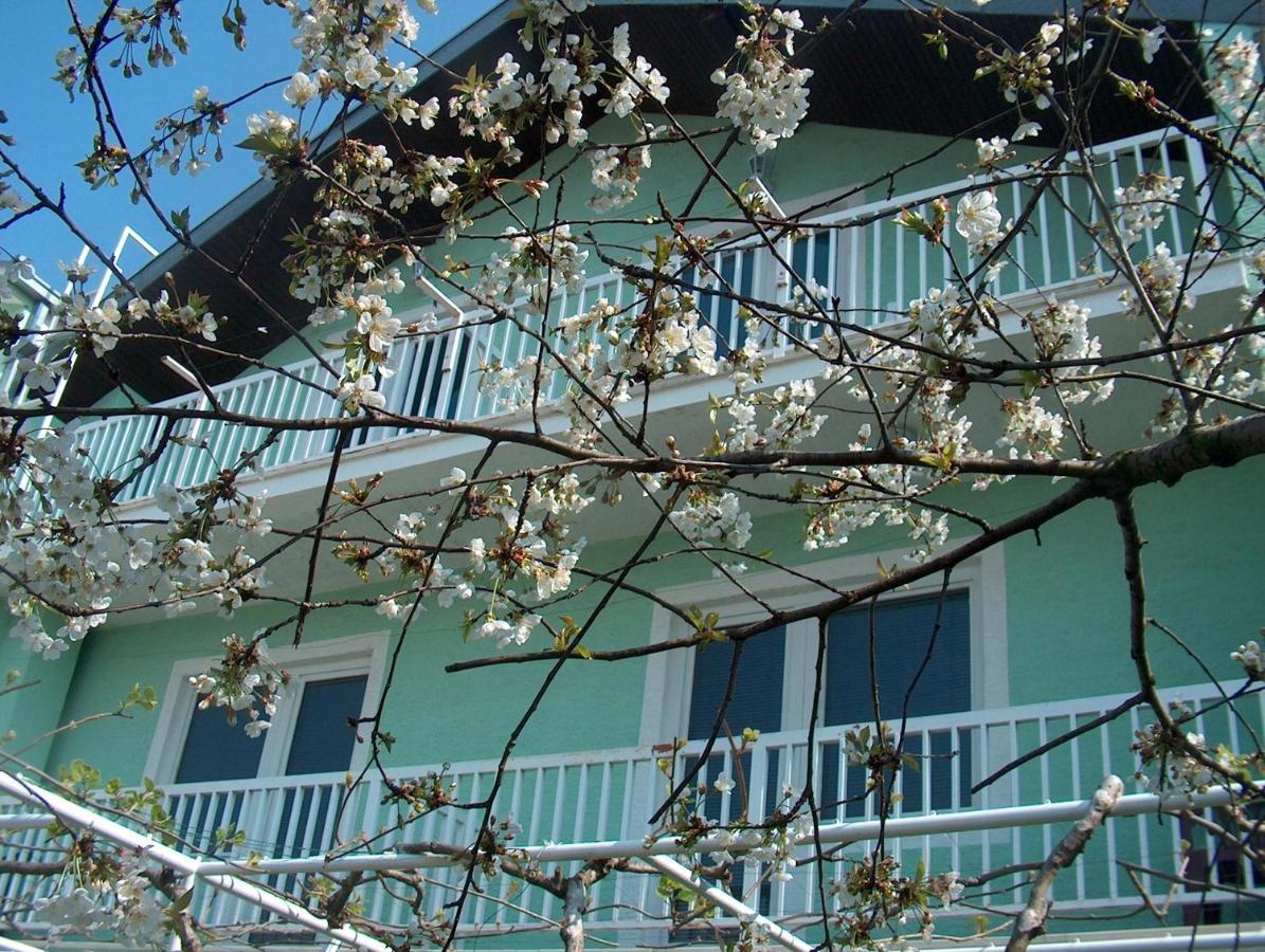 Pansion Devotions Hotell Međugorje Eksteriør bilde